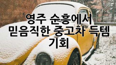 영주 순흥에서 믿음직한 중고차, 득템 기회! 🚗💨