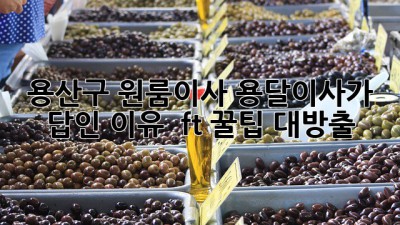 용산구 원룸이사, 용달이사가 답인 이유 🚚💨 (ft. 꿀팁 대방출)